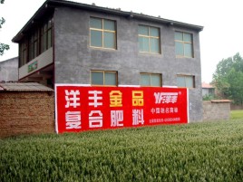 抚州如何让墙体广告展现最大化效果