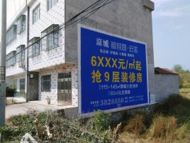 抚州墙体广告质量分析